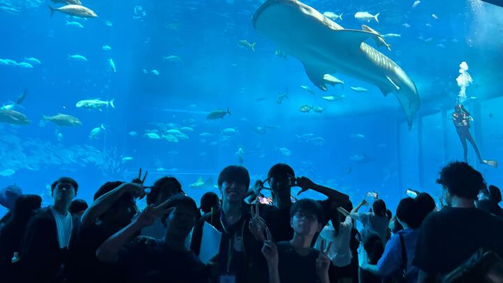 遠足＠美ら海水族館の様子